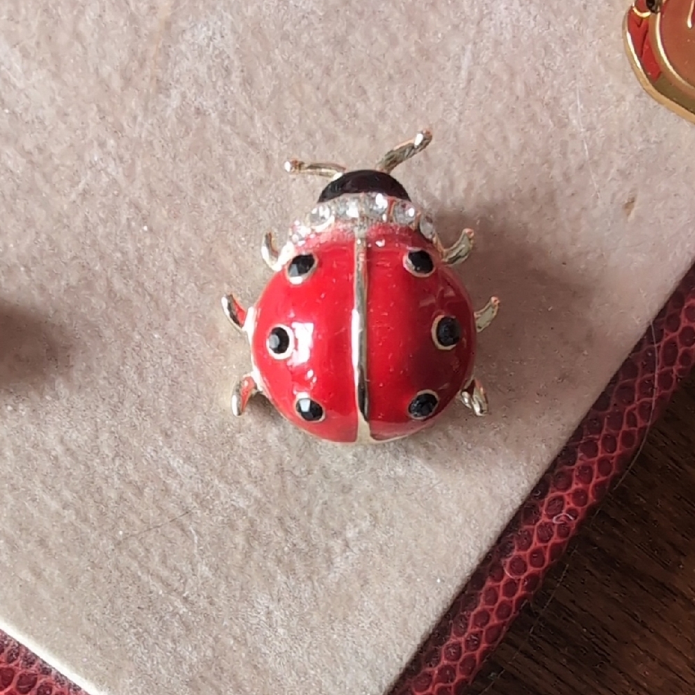 Red Ladybug Brooch